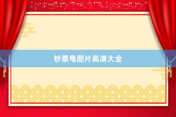 钞票龟图片高清大全